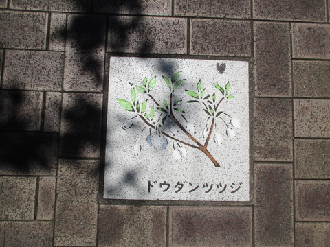 41イラスト5