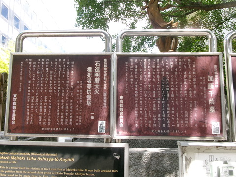22回向院１６
