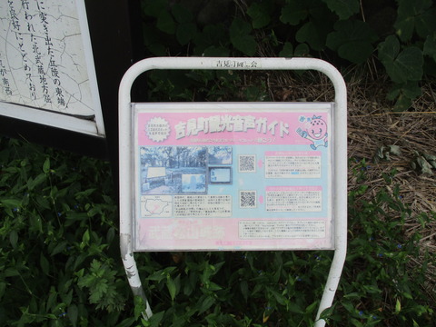 78松山城跡3