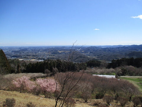 134展望台2