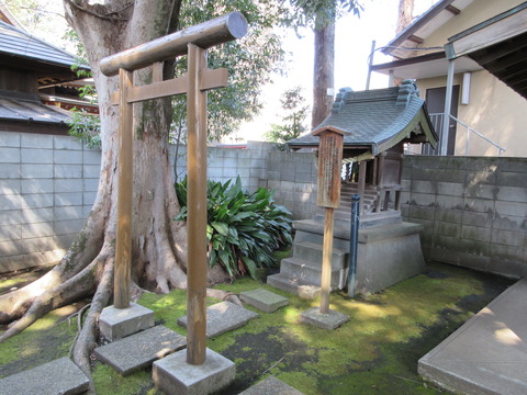 44寿福寺15