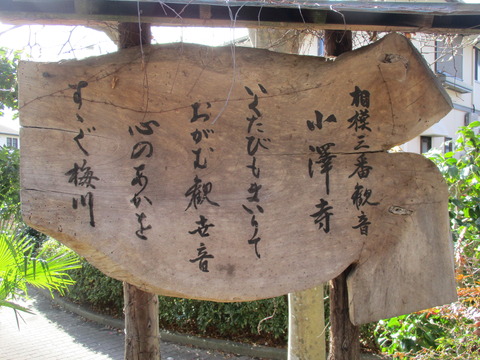 59小澤寺6