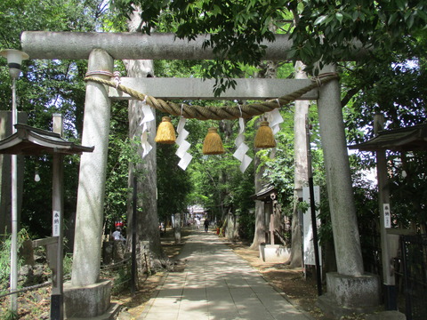 156鳥居
