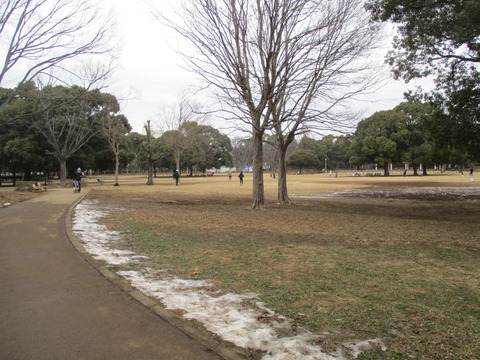 150行田公園4