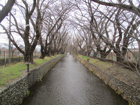 10見影橋4