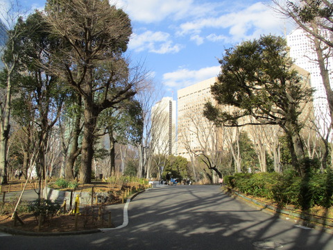 316新宿中央公園１