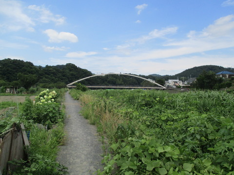 244遊歩道8