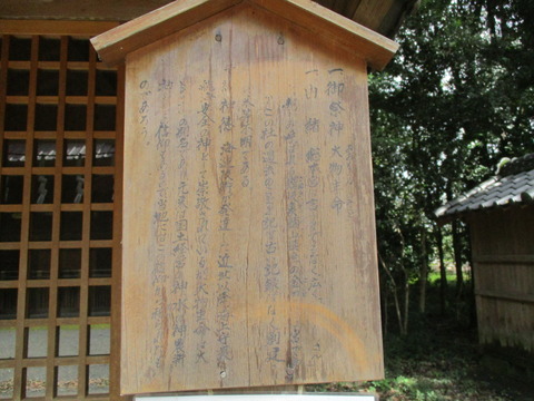 195琴平神社3