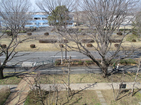 32立川市役所10