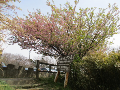 108山道8