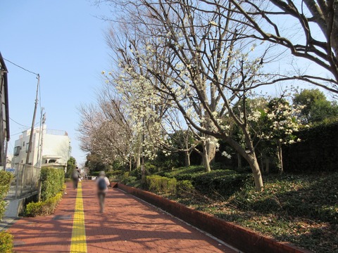 198歩道1
