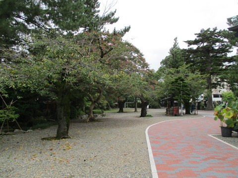 50安養寺8