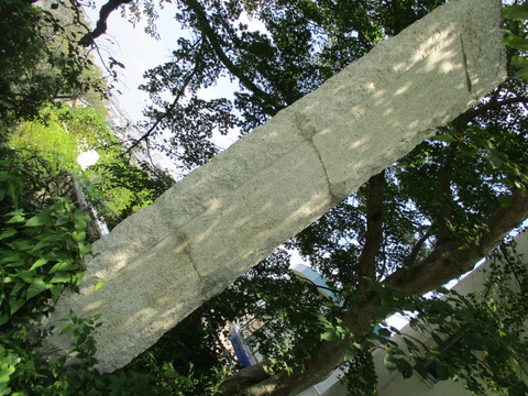 23展望台10