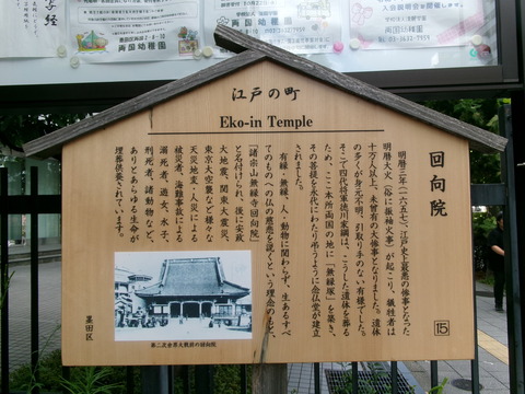 11回向院５