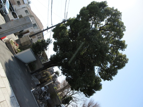 40-2寿福寺11-2