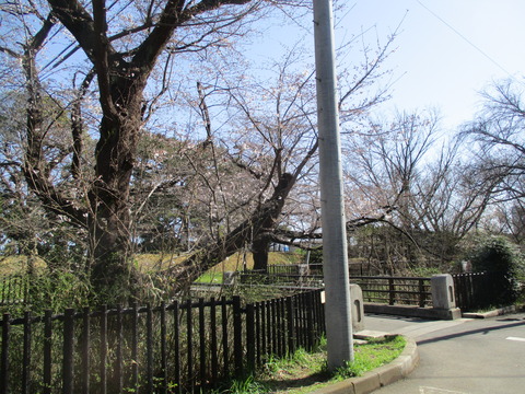 20大橋1