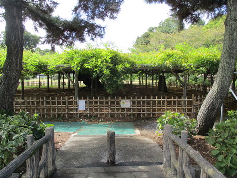 94玉敷公園4