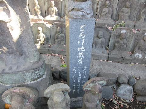 146大圓寺４７