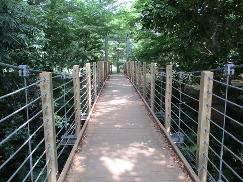 20吊り橋3