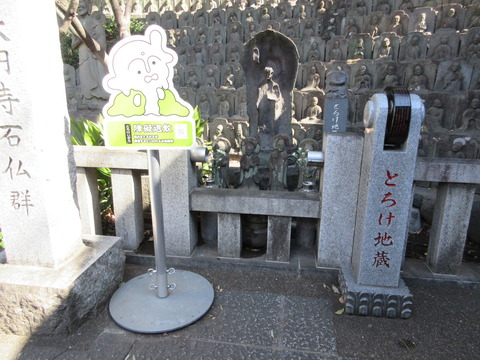 144大圓寺４５