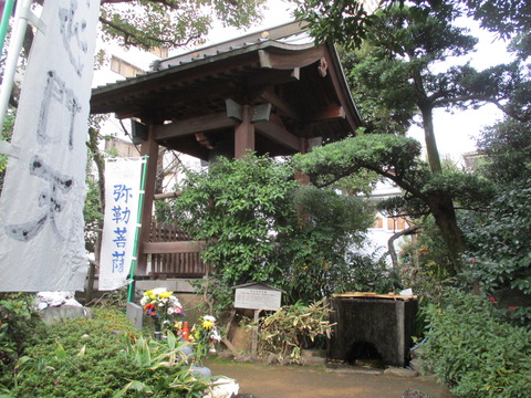 234こんにゃくえんま19