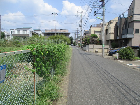 28畑1