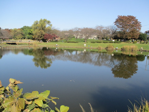 153西城沼公園4