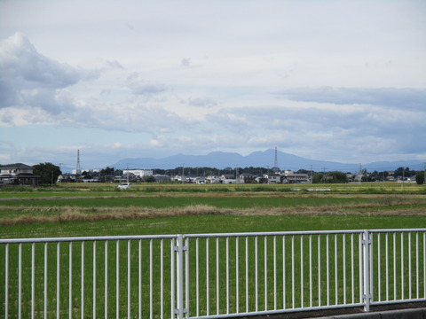 239群馬方面