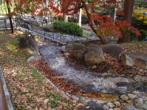 45公園内2