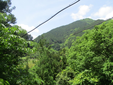 134遠くに橋2