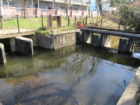 52境橋6