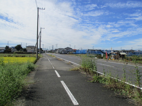30あじさいロード1