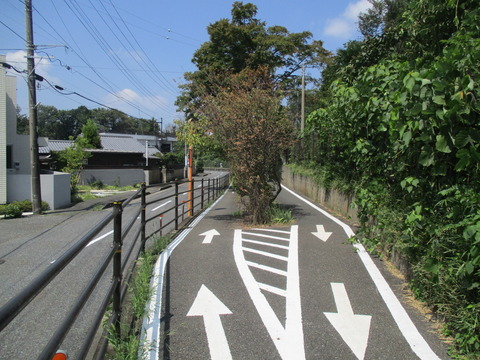 87多摩湖自転車歩行者道7