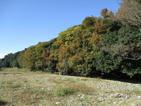 114嵐山渓谷7
