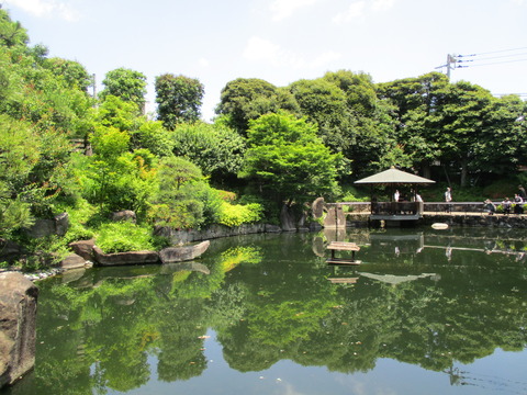 50目白庭園11