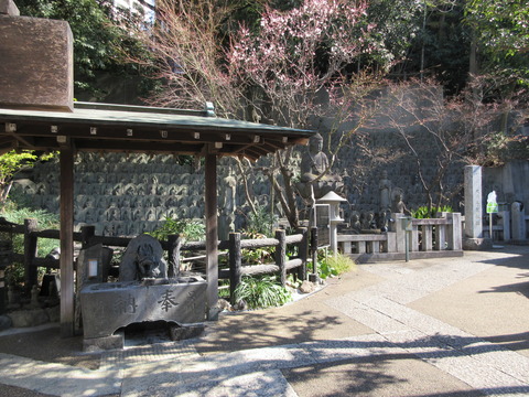 102大圓寺３