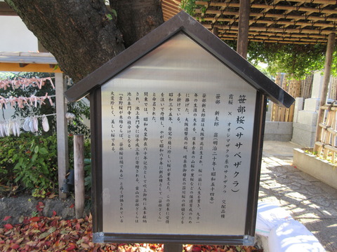 163感通寺19