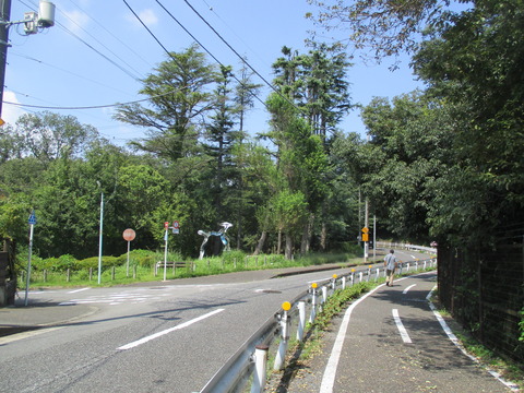 89多摩湖自転車歩行者道9