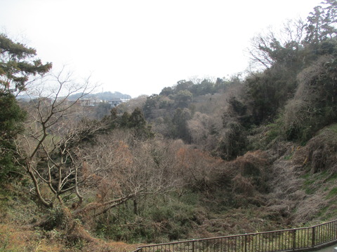 255法性寺へ2