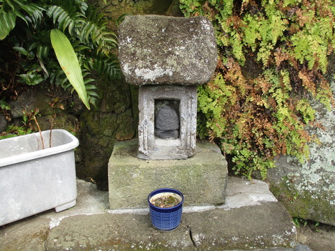 161大井戸4