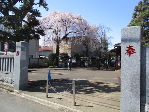78八幡神社1