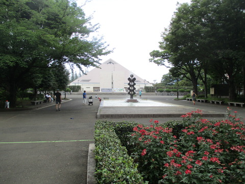 34体育館