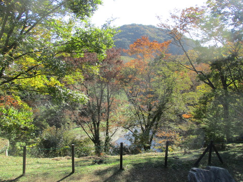 138展望台4