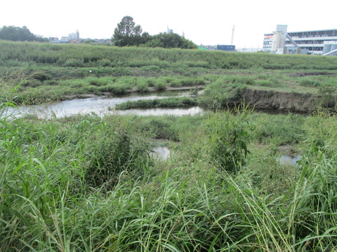 170合流2