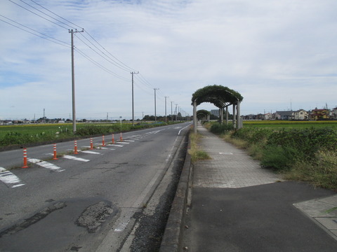 207ふじとあじさいの道1
