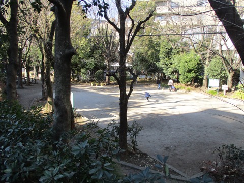 16幡ヶ谷第三公園2