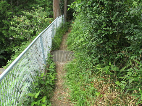 229細い道4