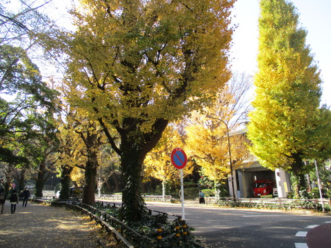 14北参道へ