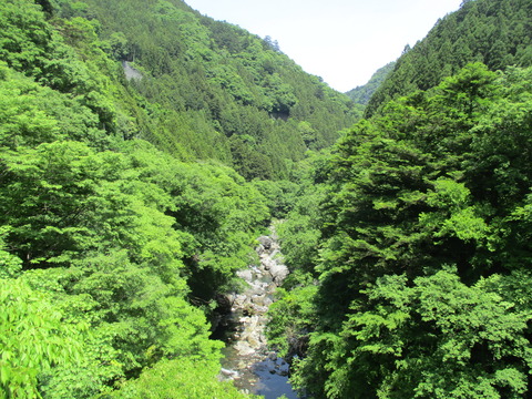 212しだくら橋5