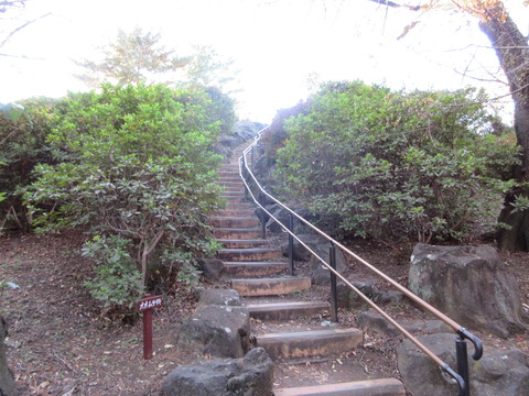 224戸山公園8